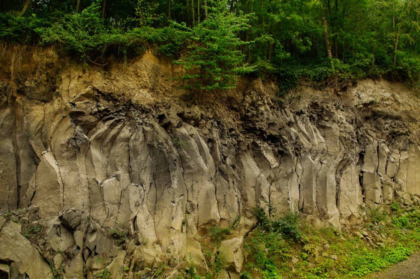 2015-08-19 - Vulkaneifel