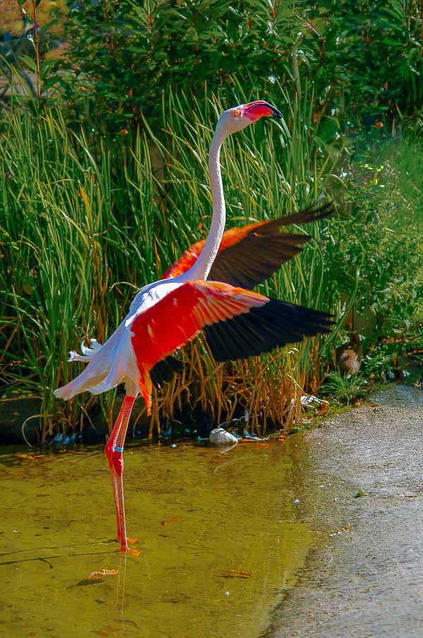 2015-09-10 – Tierpark und Fossilium Bochum
