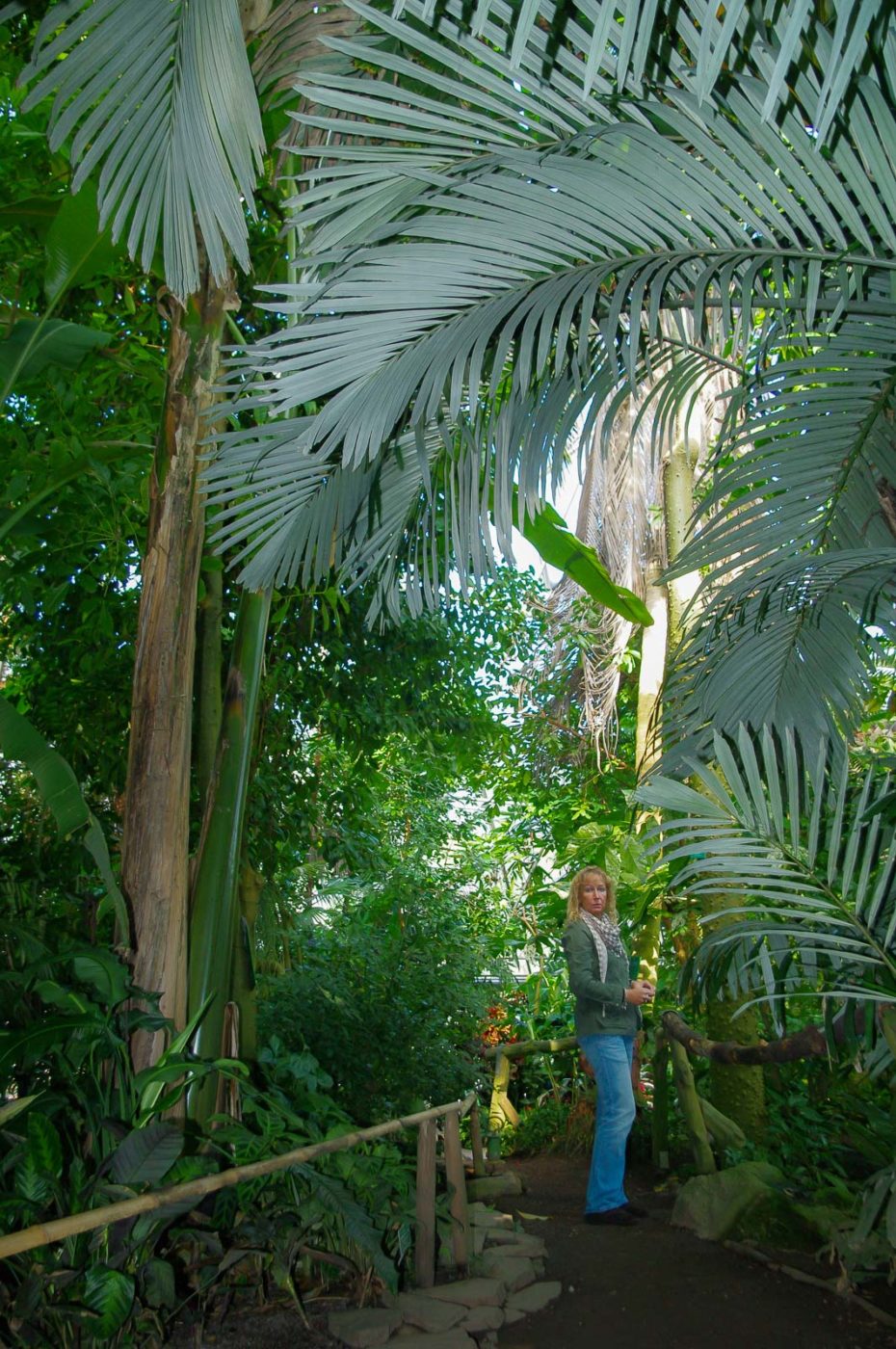 2015-10-02 - Grugapark Essen