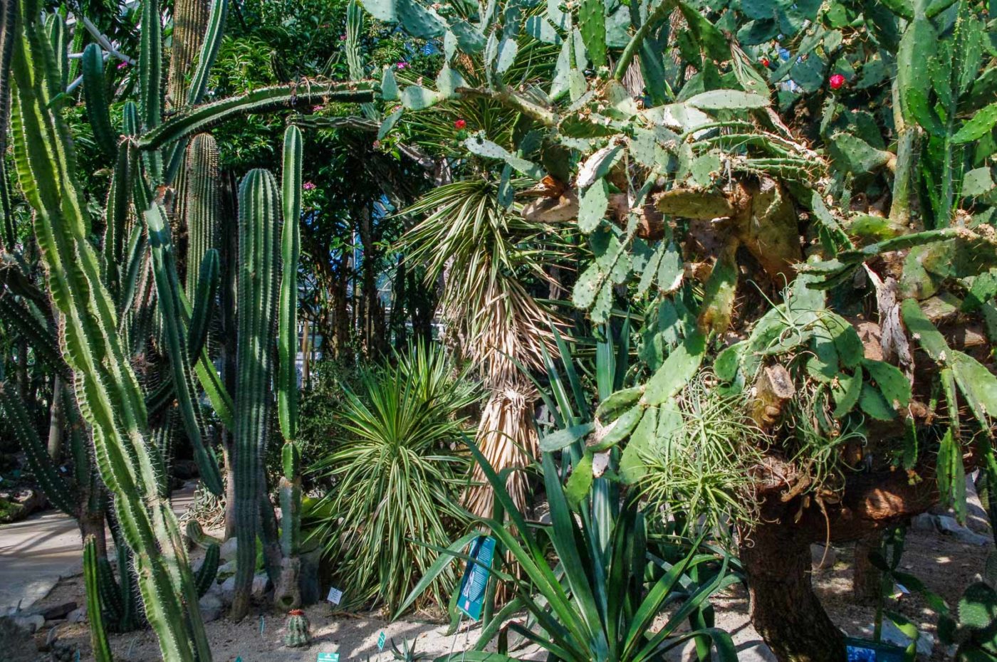 2015-10-02 - Grugapark Essen