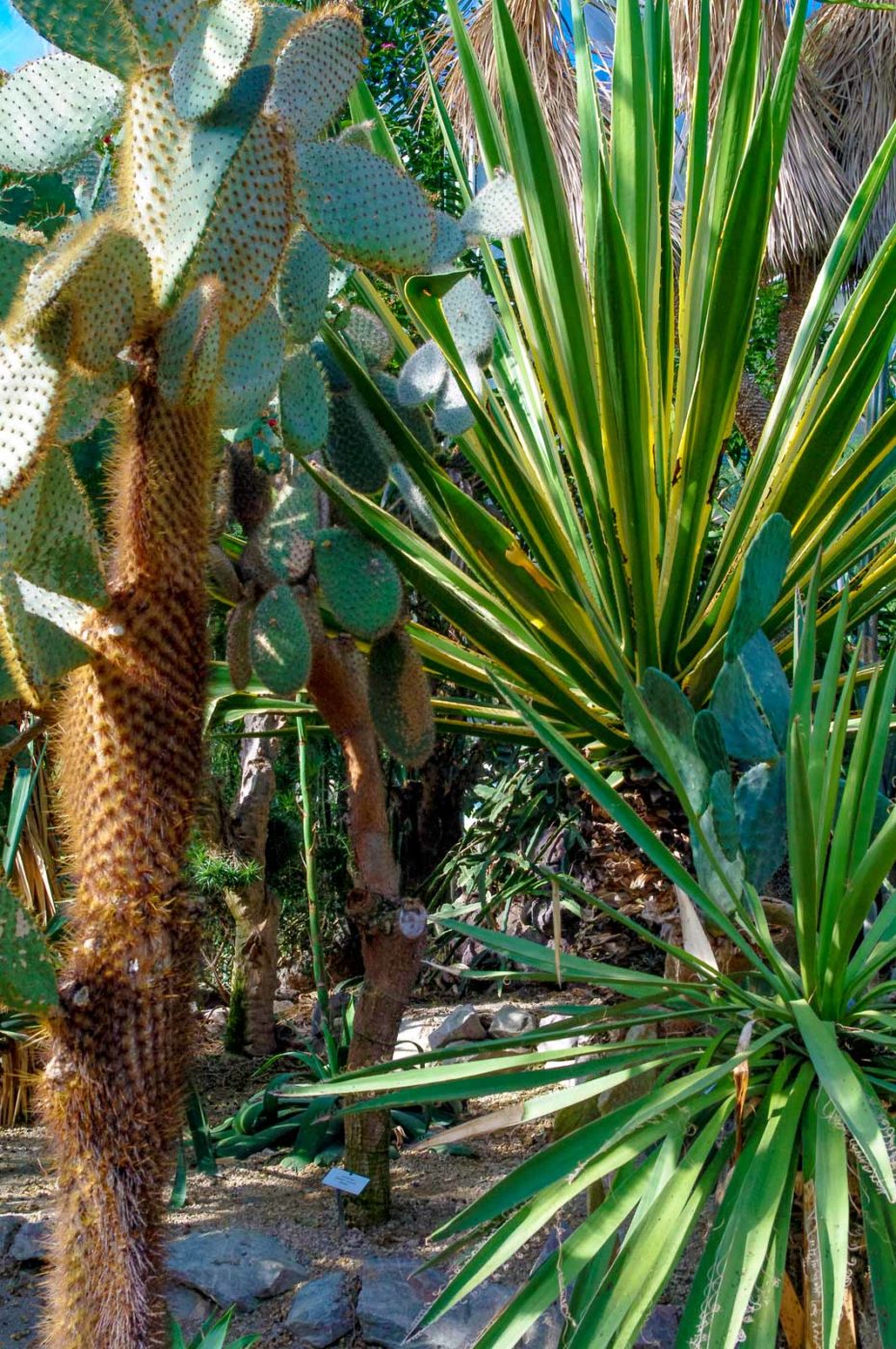 2015-10-02 - Grugapark Essen