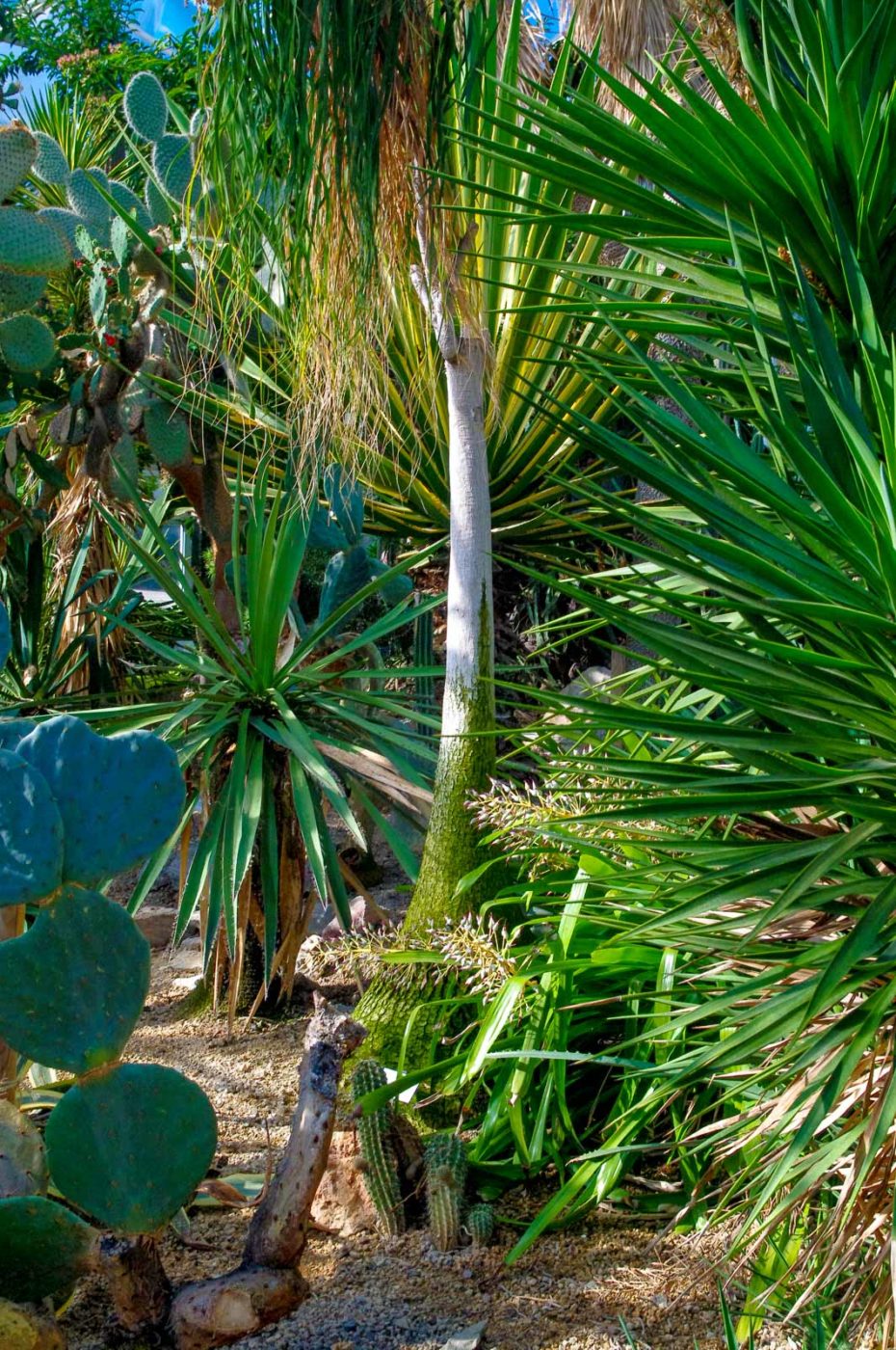 2015-10-02 - Grugapark Essen