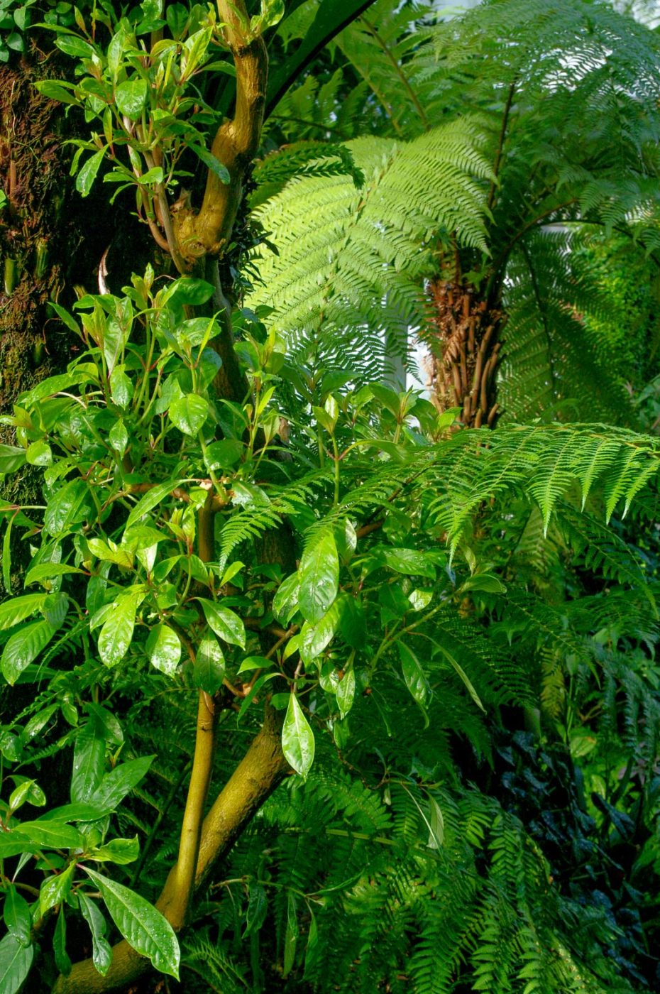 2015-10-02 - Grugapark Essen