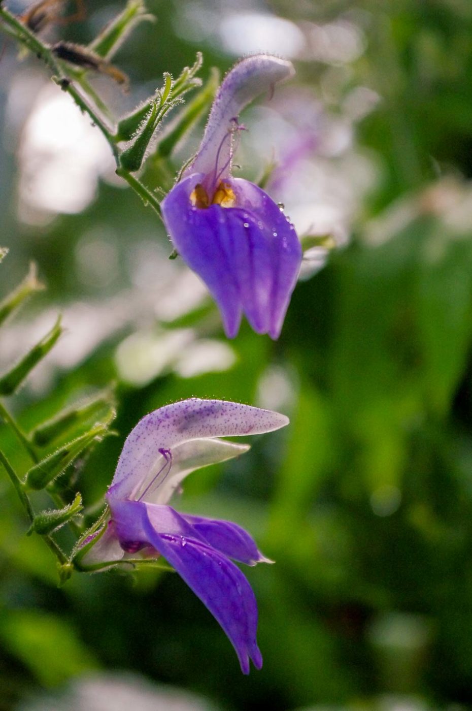 2015-10-02 - Grugapark Essen