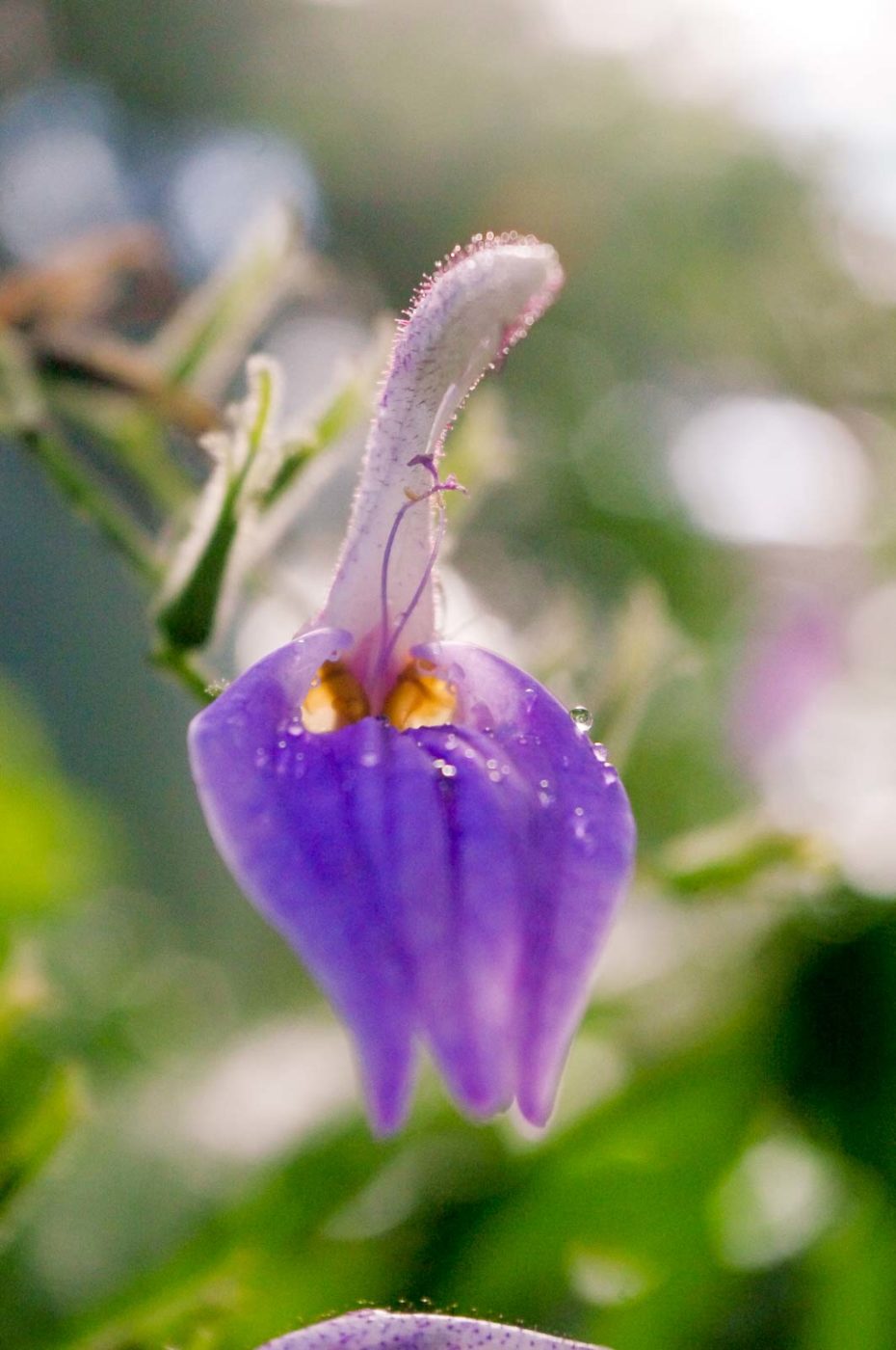 2015-10-02 - Grugapark Essen