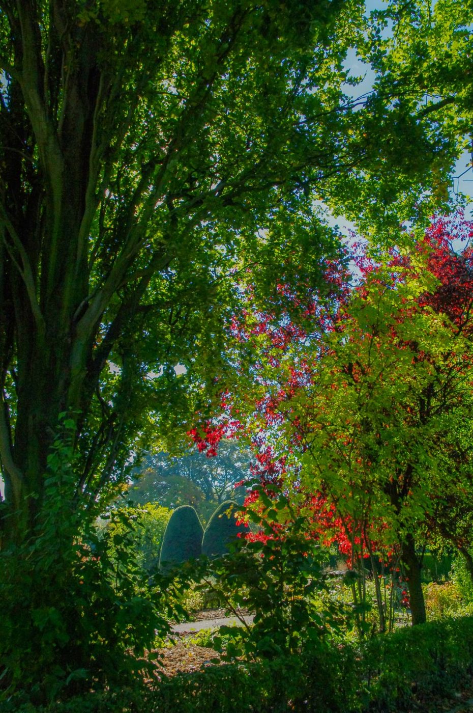 2015-10-02 - Grugapark Essen