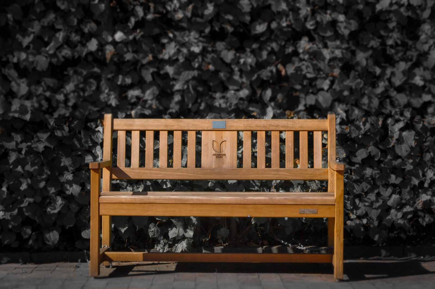 2015-10-02 - Grugapark Essen