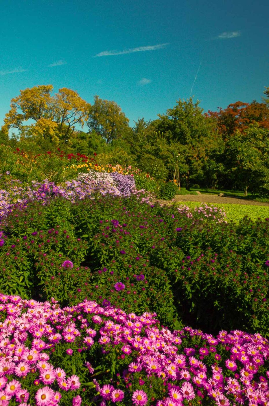 2015-10-02 - Grugapark Essen