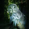2015-10-02 - Grugapark Essen