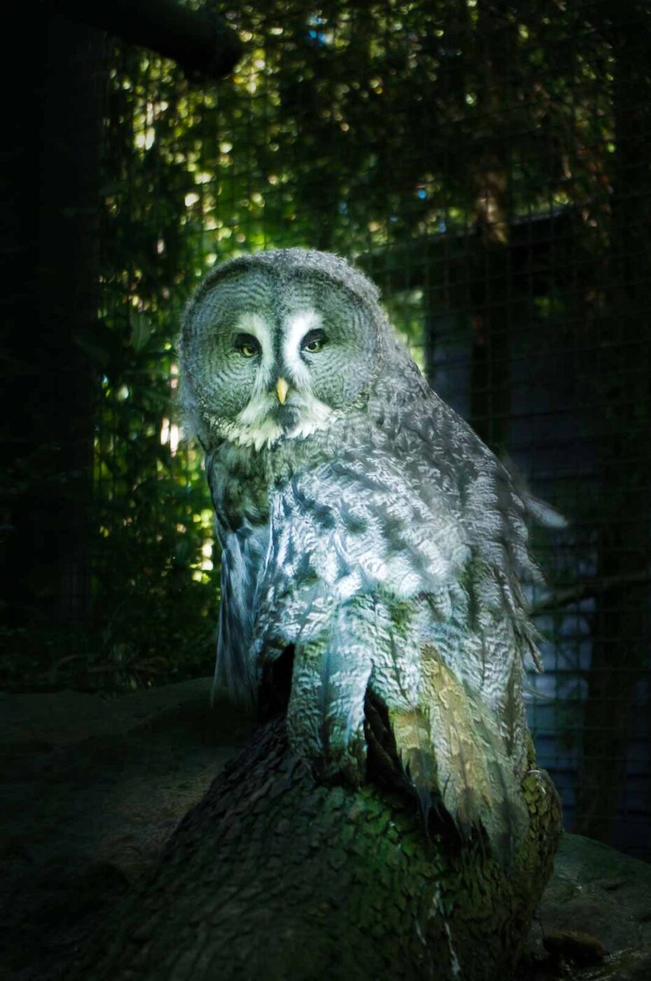 2015-10-02 - Grugapark Essen