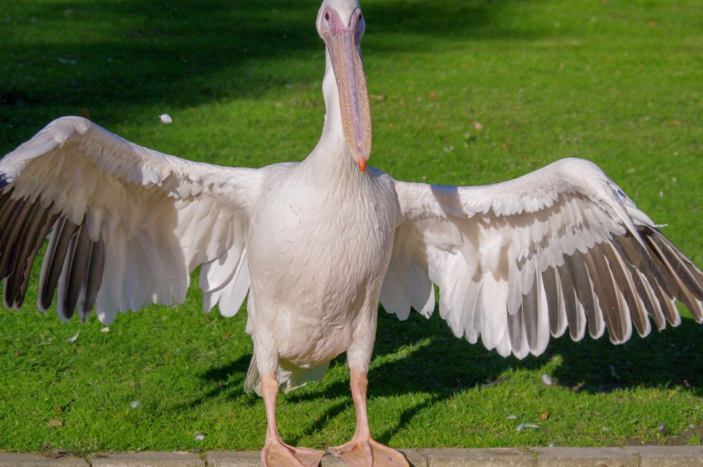 2015-10-02 - Grugapark Essen