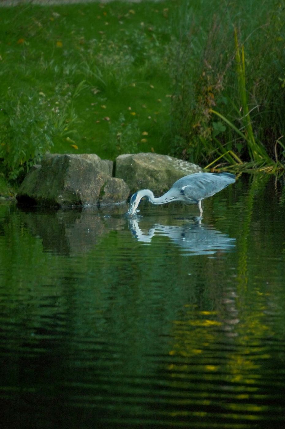 2015-10-02 - Grugapark Essen