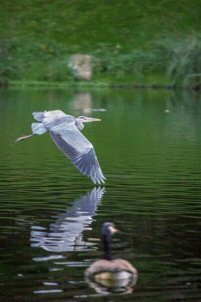 2015-10-02 - Grugapark Essen