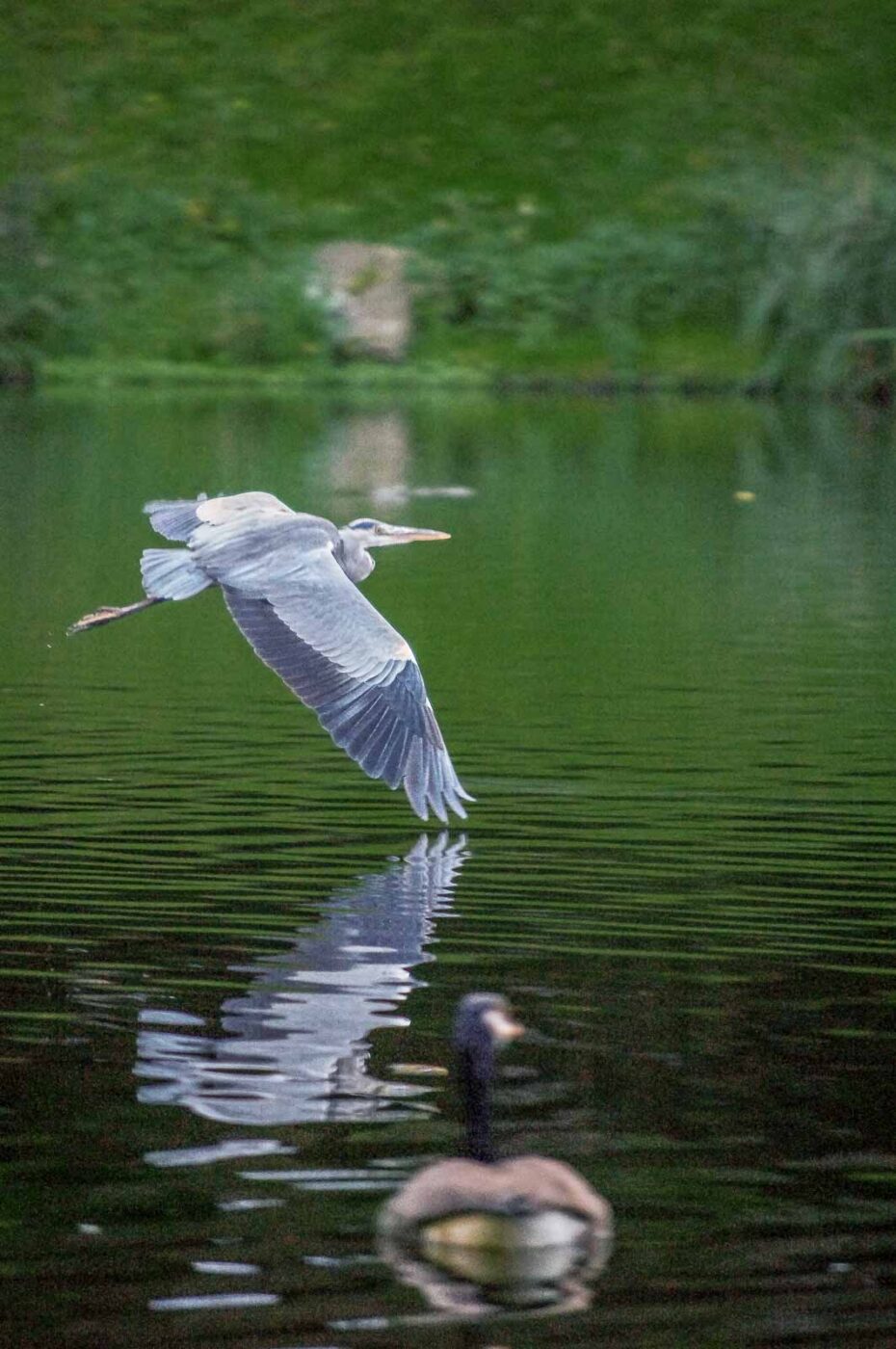 2015-10-02 - Grugapark Essen