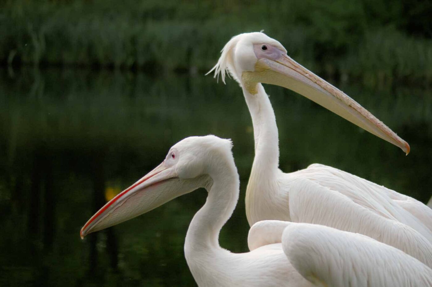 2015-10-02 - Grugapark Essen