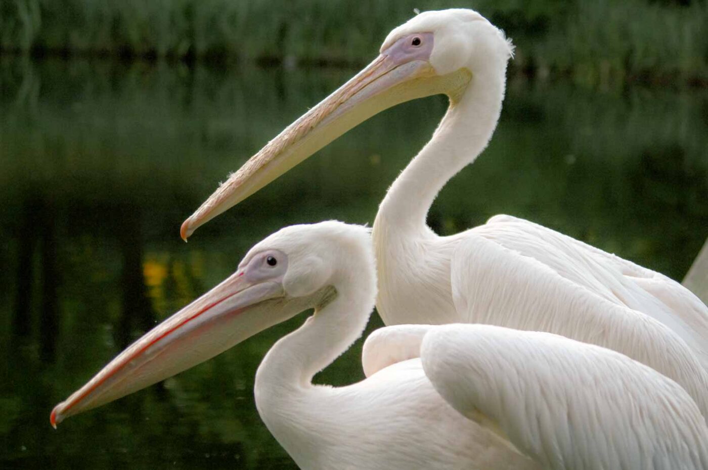 2015-10-02 - Grugapark Essen