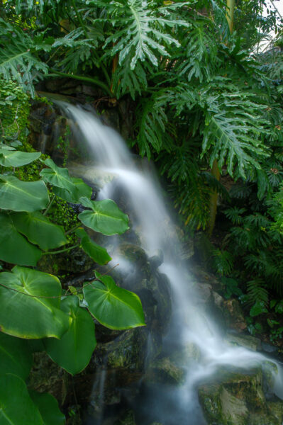 2015-10-03 - Grugapark Essen