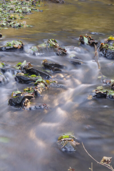 2015-10-27 - Muttental