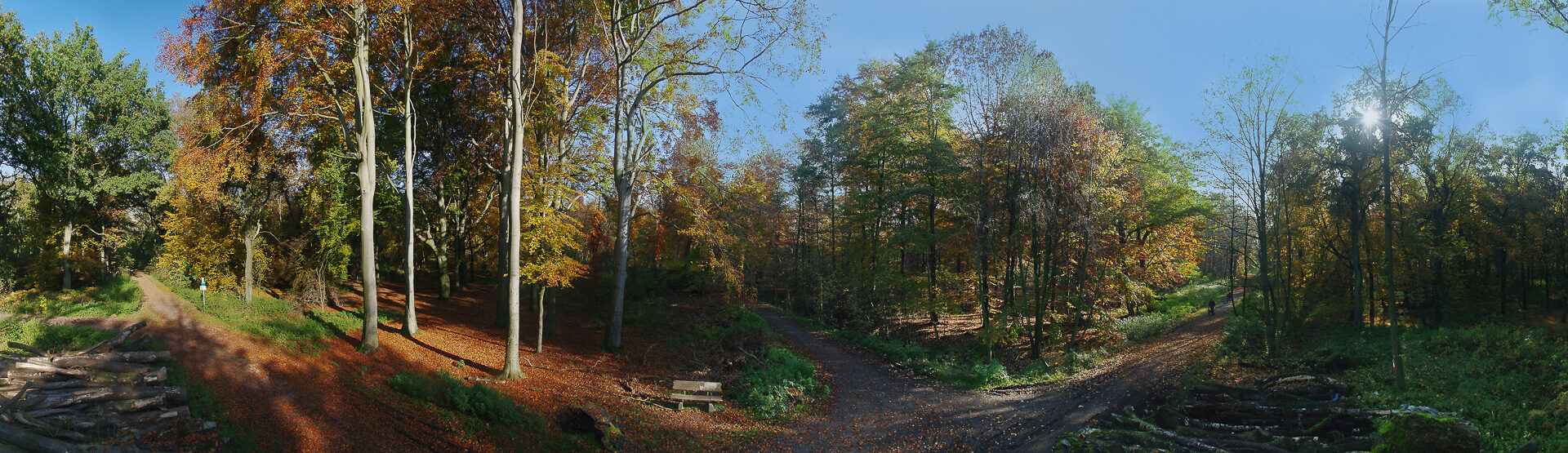 2015-11-01 – NSG Resser Wald und Emscherbruch