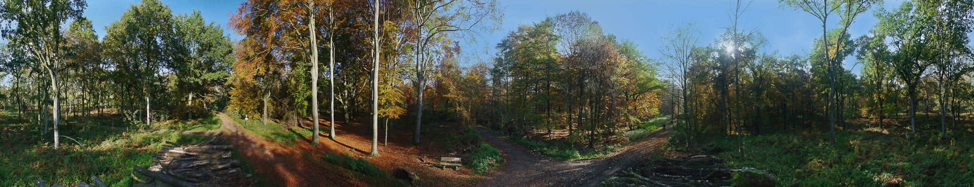 2015-11-01 – NSG Resser Wald und Emscherbruch