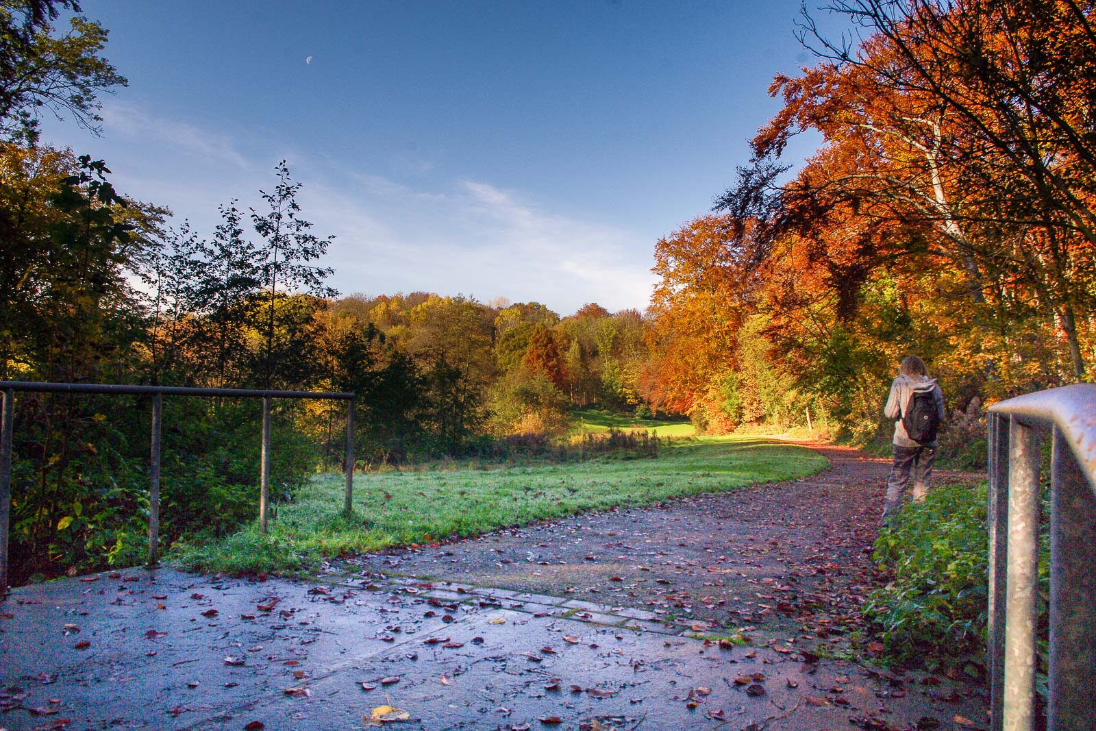 2015-11-03 – Schellenbergpark Castrop-Rauxel