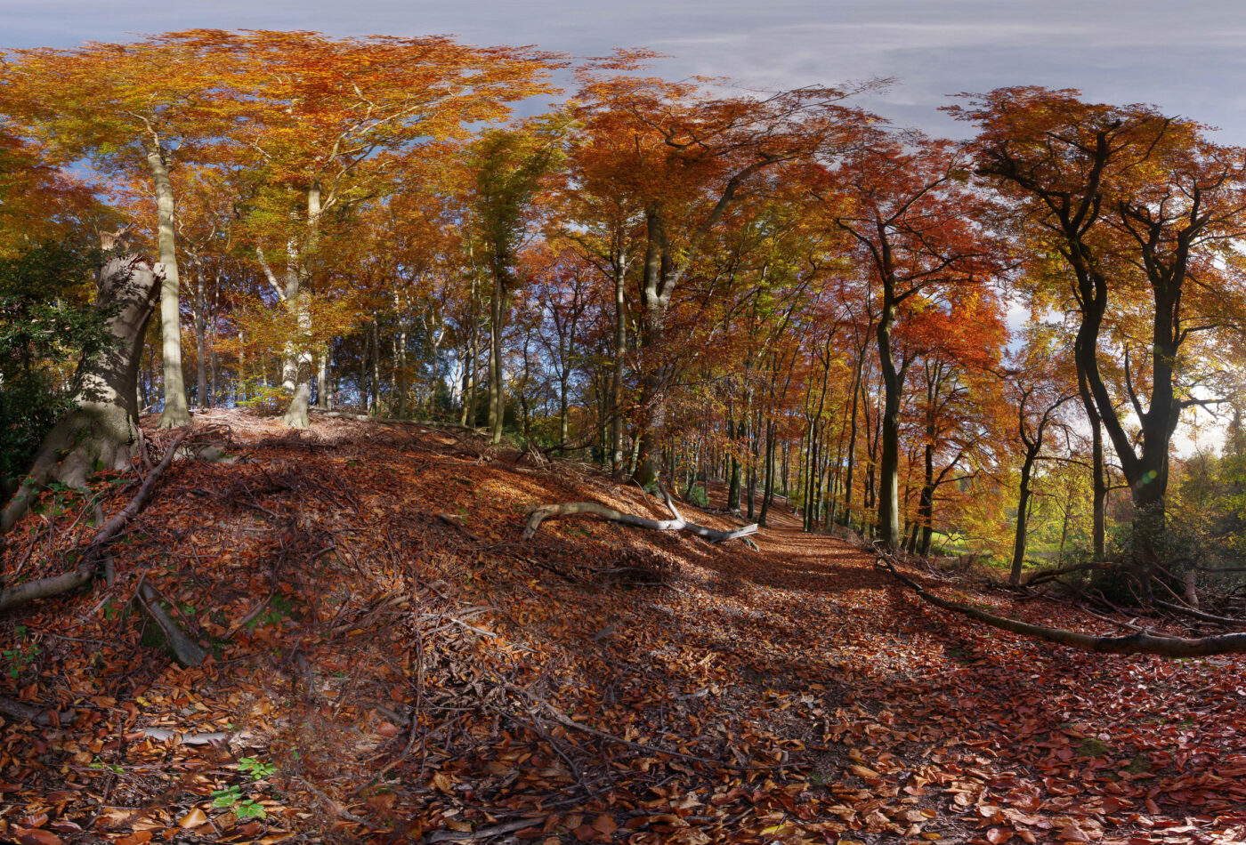 2015-11-03 - Schellenbergpark