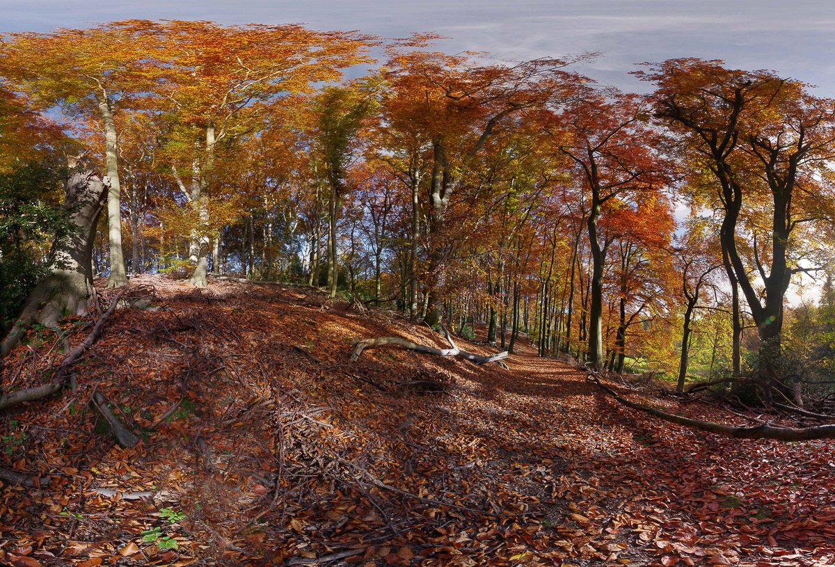 2015-11-03 - Schellenbergpark