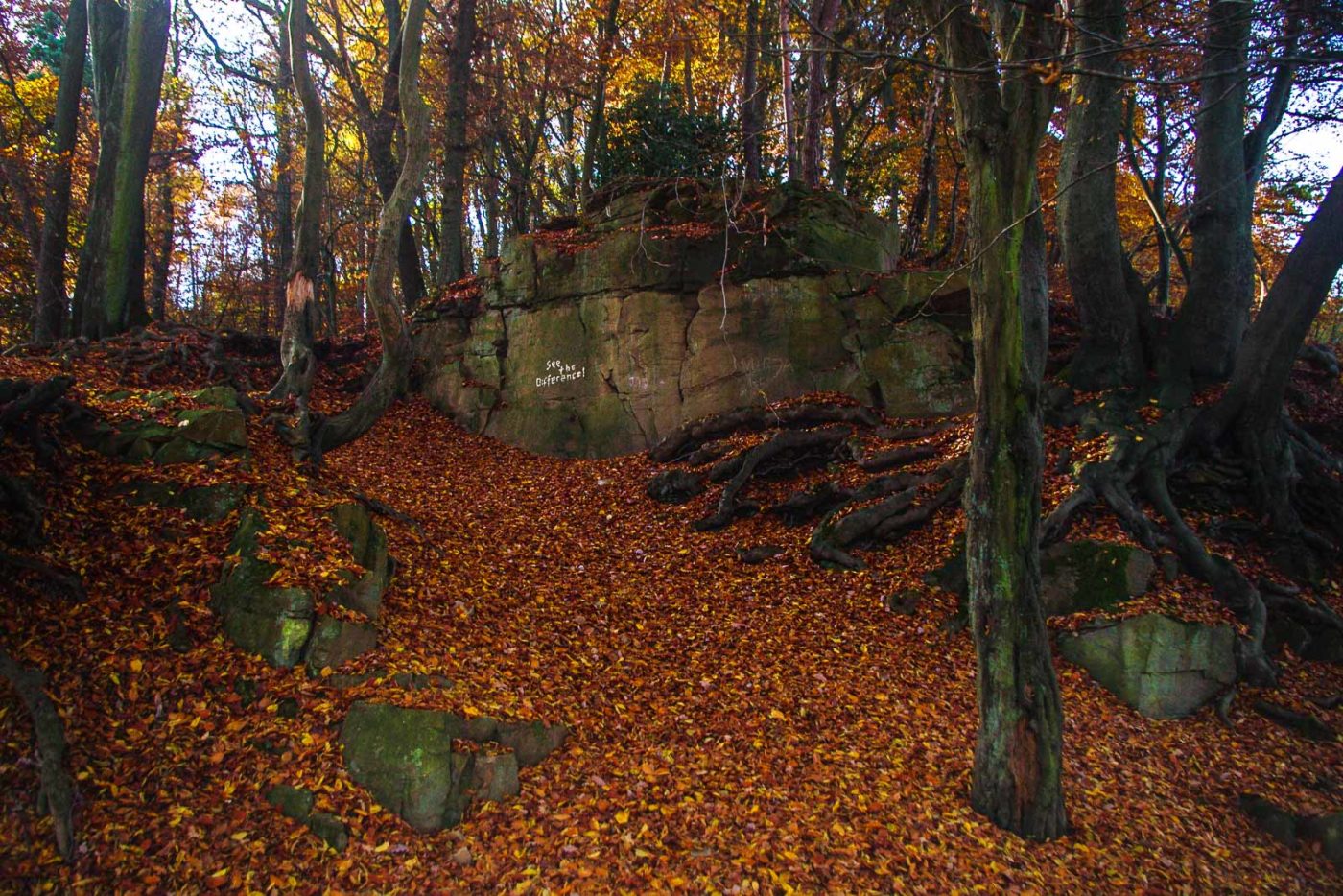 2015-11-04 - Burgruine Hardenstein