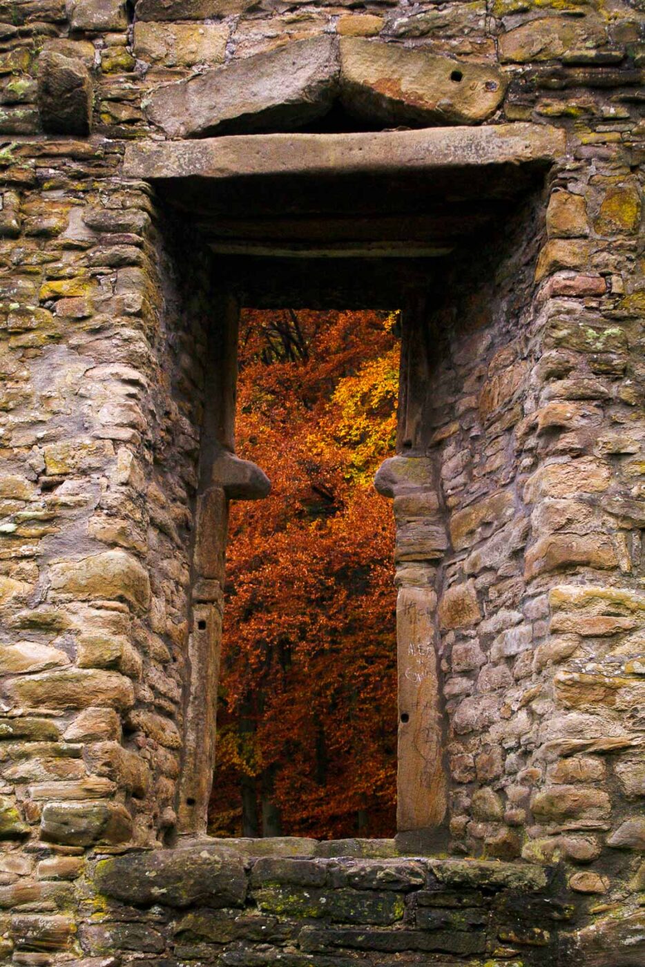 2015-11-04 - Burgruine Hardenstein