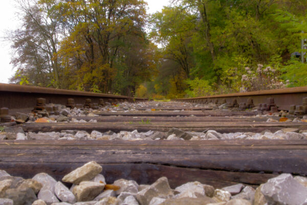 2015-11-04 - Burgruine Hardenstein