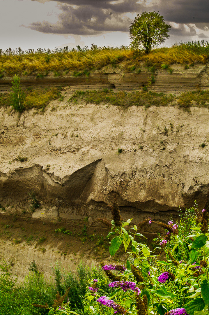 2015-08-19 - Vulkaneifel