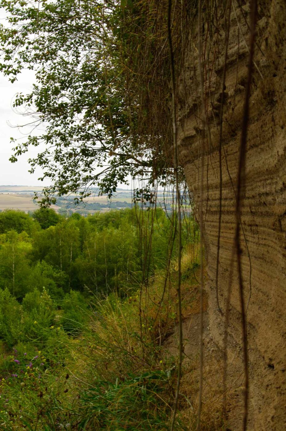 2015-08-19 - Vulkaneifel