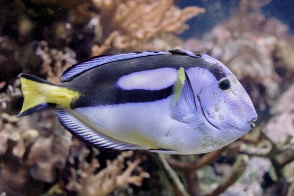 2016-02-02 - Allwetterzoo Münster