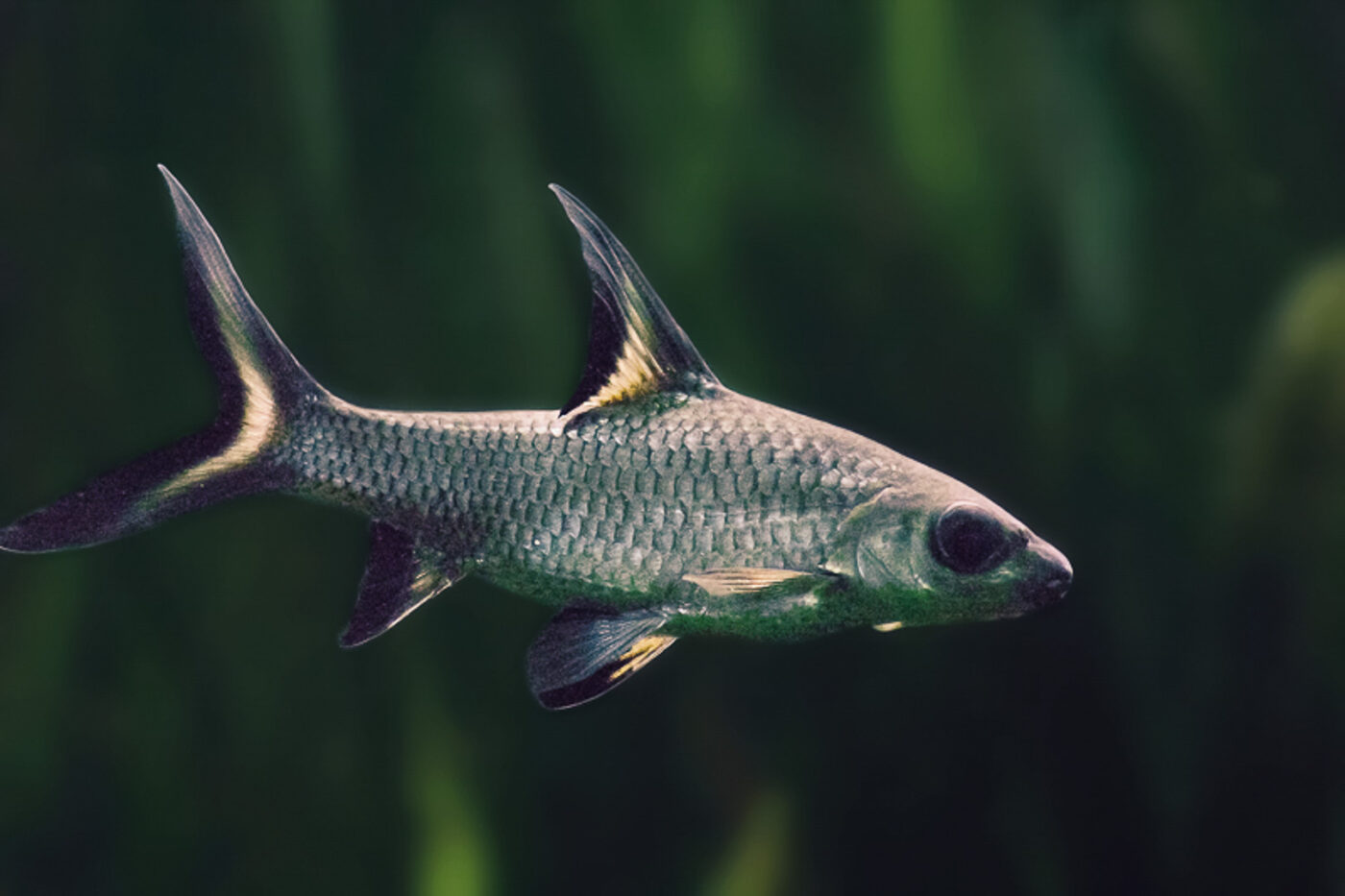 2016-02-11 - Tierpark und Fossilium Bochum