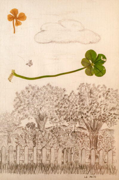 Glücksklee mit 5 Blättern