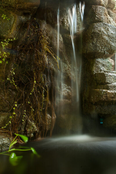 Tierpark und Fossilium Bochum