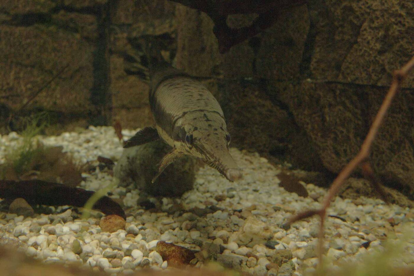 Tierpark und Fossilium Bochum