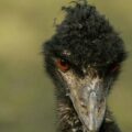 2016-01-28 - Tierpark Hamm