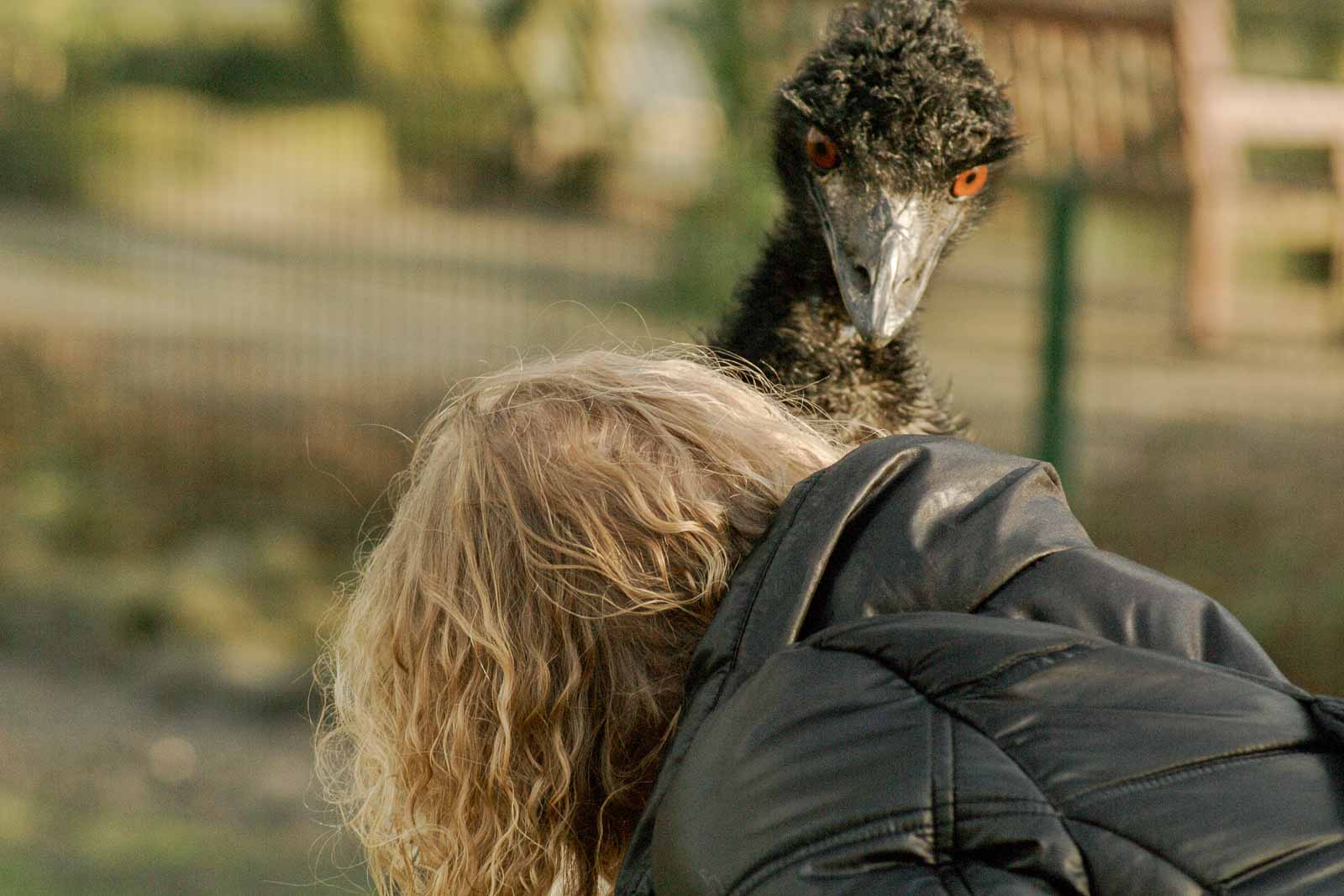 °2016-01-28 – Tierpark Hamm – TheUte & The Emu°
