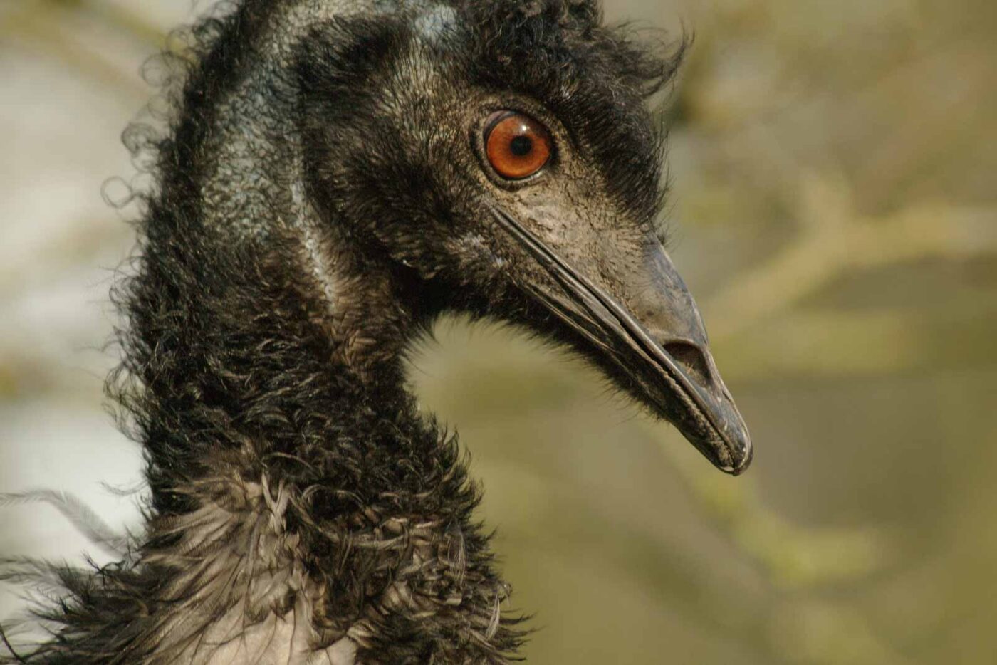 2016-01-28 - Tierpark Hamm