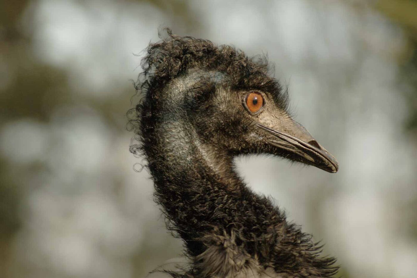 2016-01-28 - Tierpark Hamm