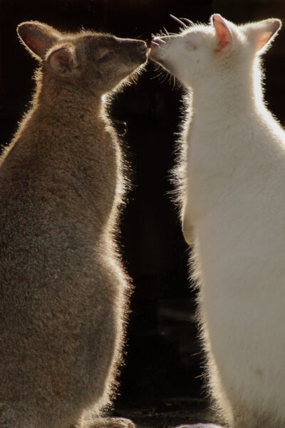 2016-01-28 - Tierpark Hamm