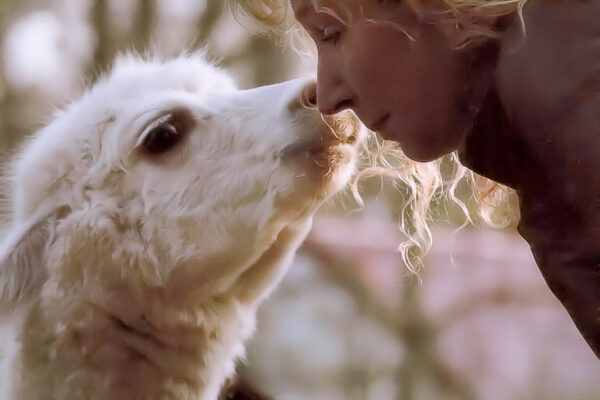 2016-01-28 - Tierpark Hamm