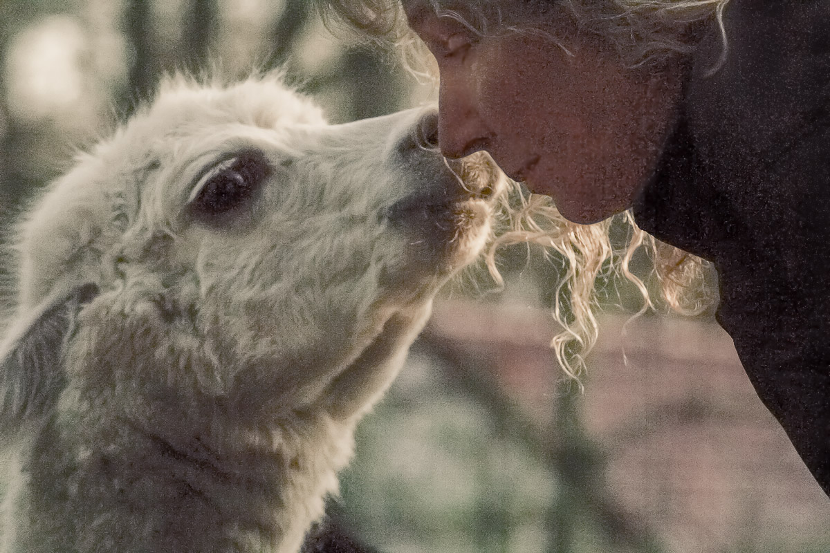 °2016-01-28 – Tierpark Hamm – TheUte & Alpaka°