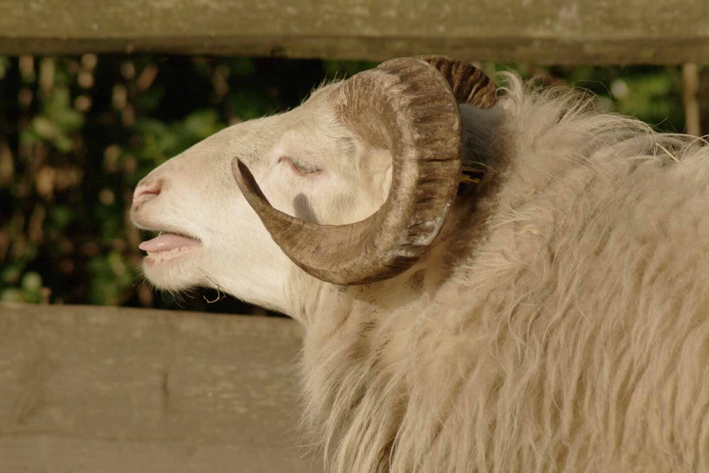 2016-01-28 - Tierpark Hamm