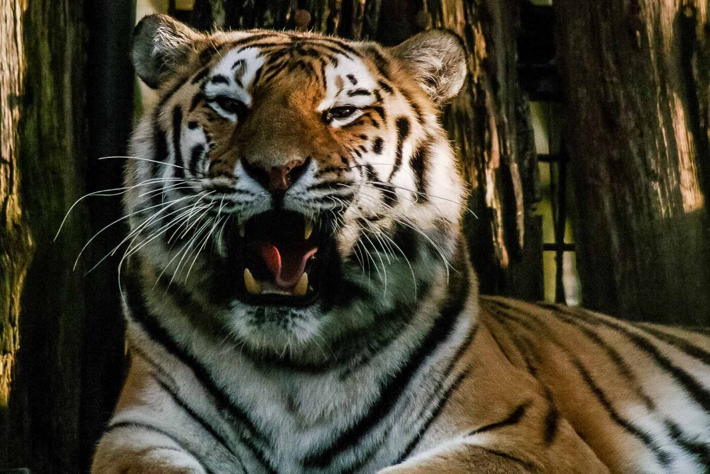 2016-01-28 - Tierpark Hamm