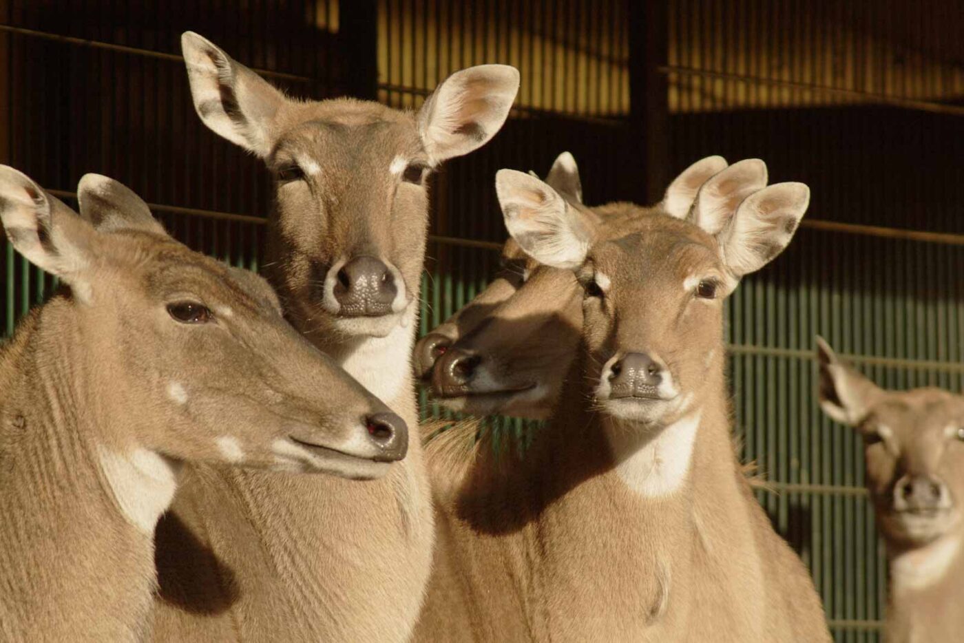 2016-01-28 - Tierpark Hamm