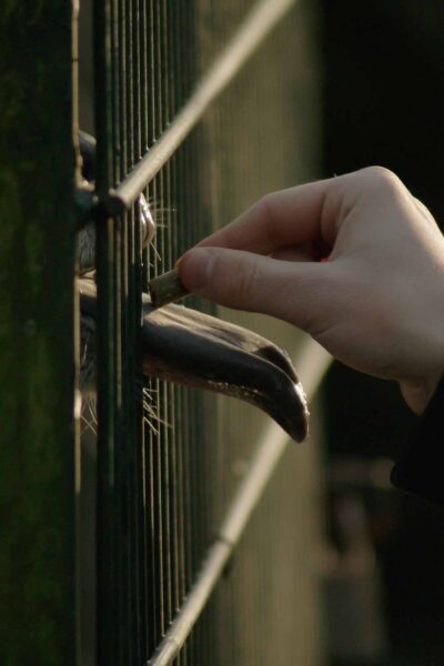 2016-01-28 - Tierpark Hamm