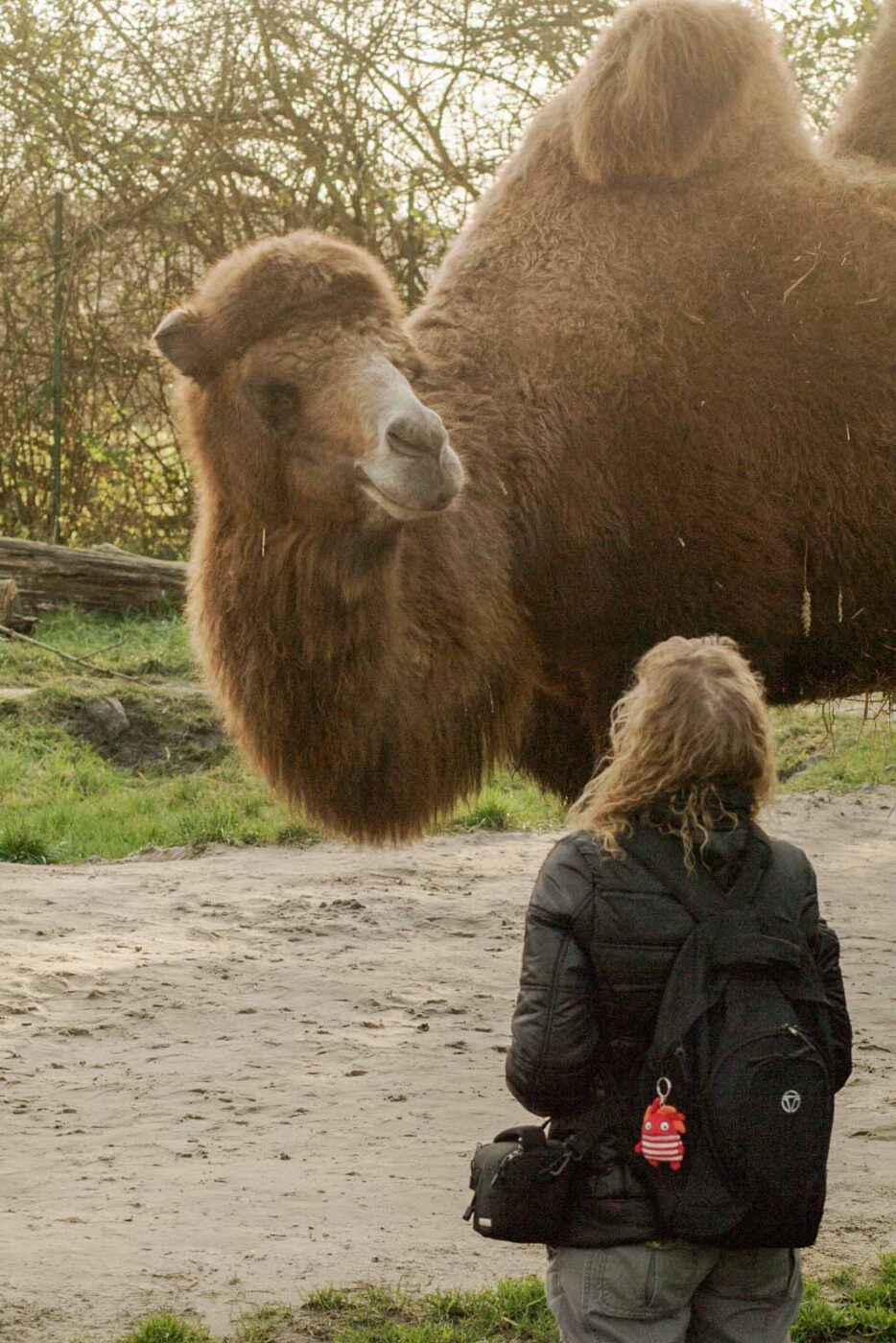 2016-01-28 - Tierpark Hamm