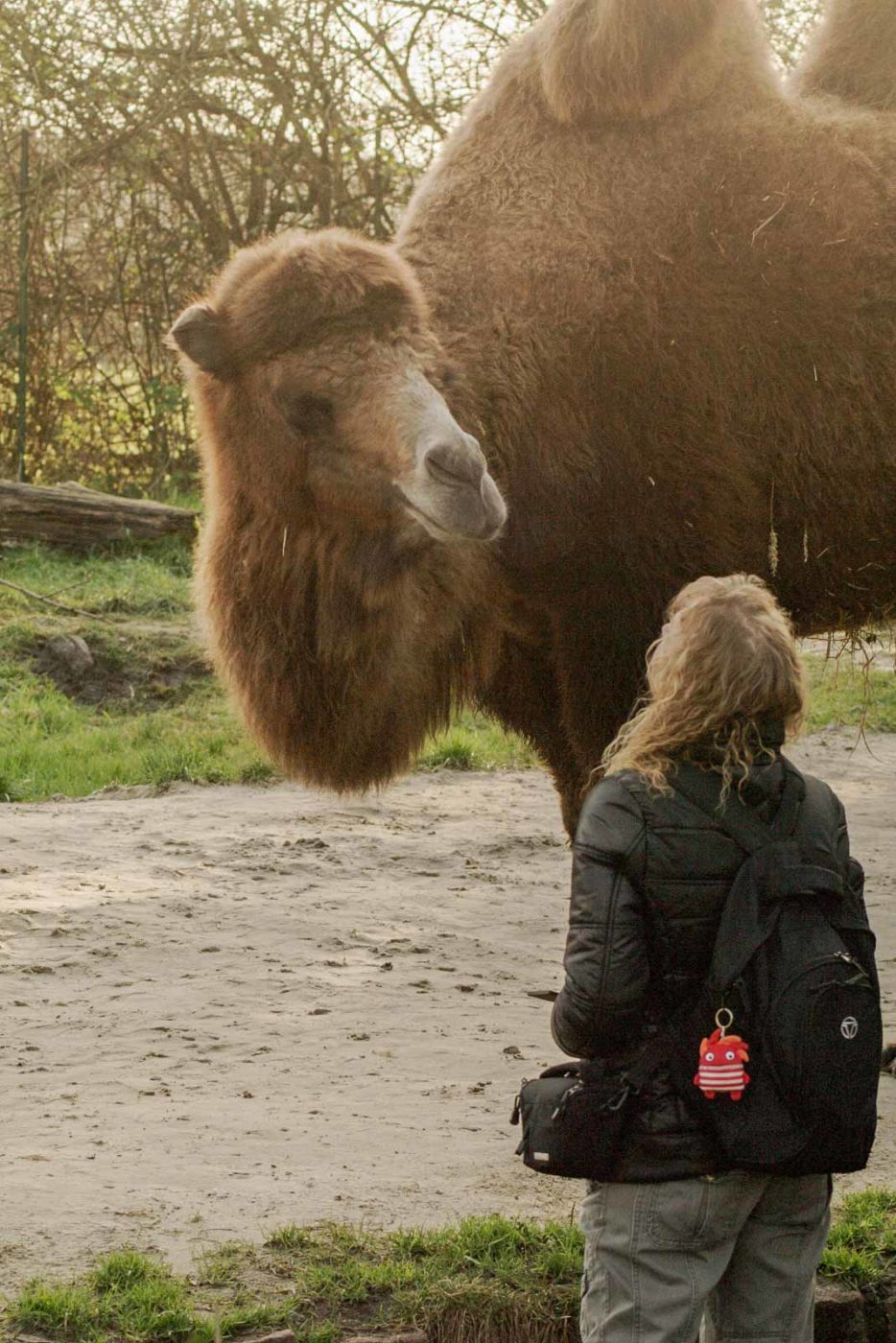 2016-01-28 - Tierpark Hamm